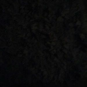 Meet your Posher, Holly